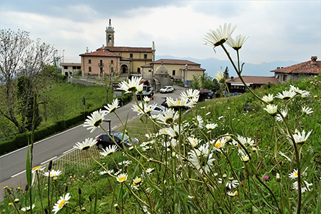 Monte Zucco (1232 m) da casa-Zogno (300 m) ad anello sui sent. CAI-505 e 505A il 16 maggio 2019 - FOTOGALLERY